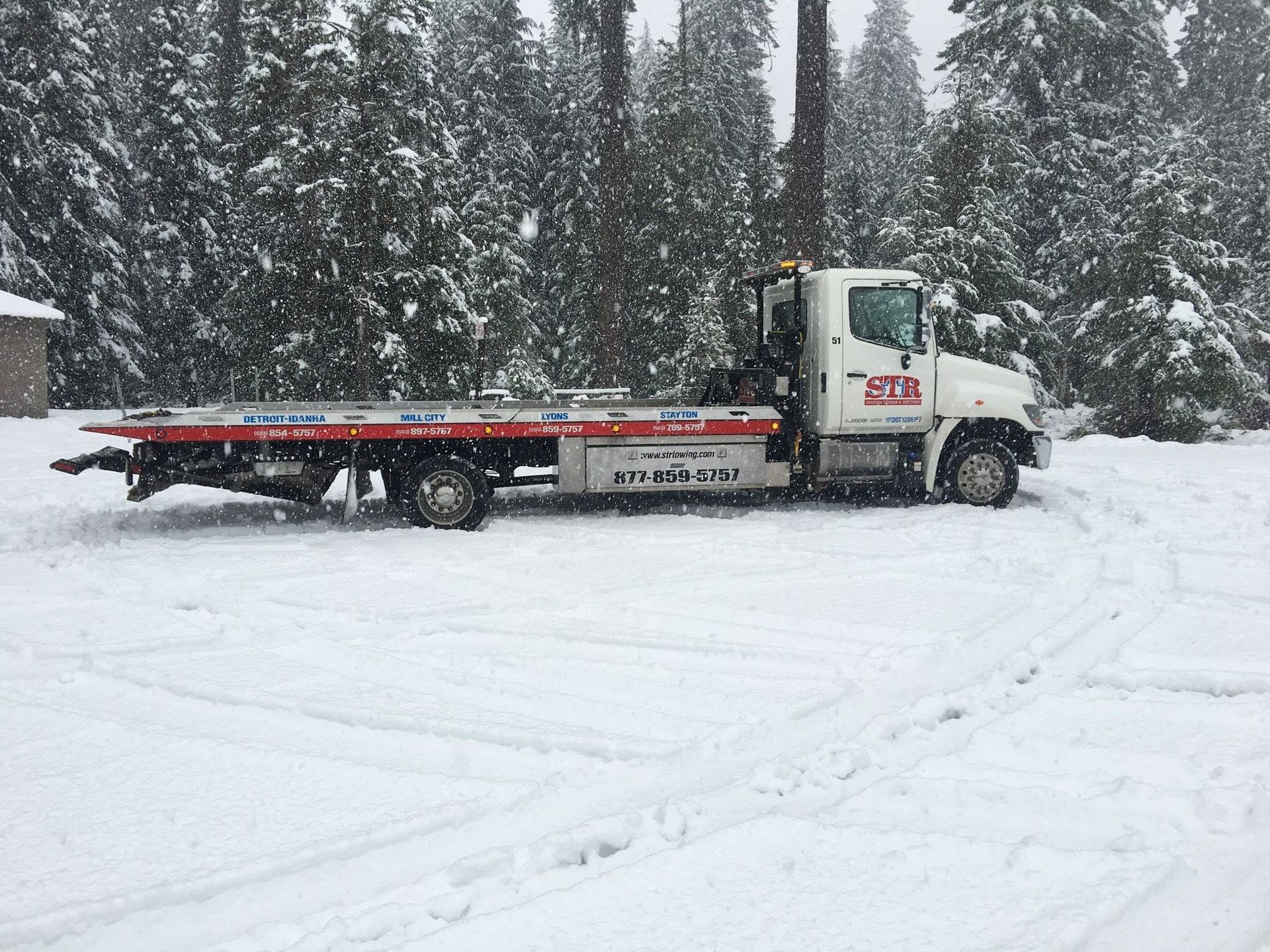 White flatbed truck parked in snowy lot with snow-covered trees in the background