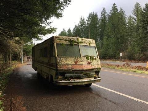 Moss-covered bus parked on a wet roadside beside a forest