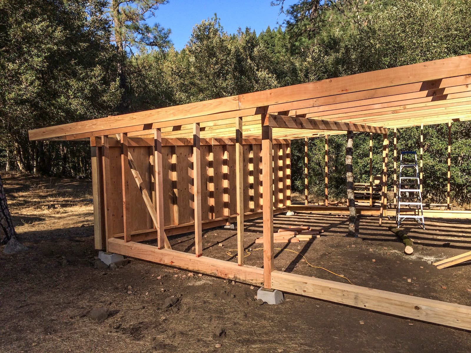 A wooden structure is being built in the middle of a forest.