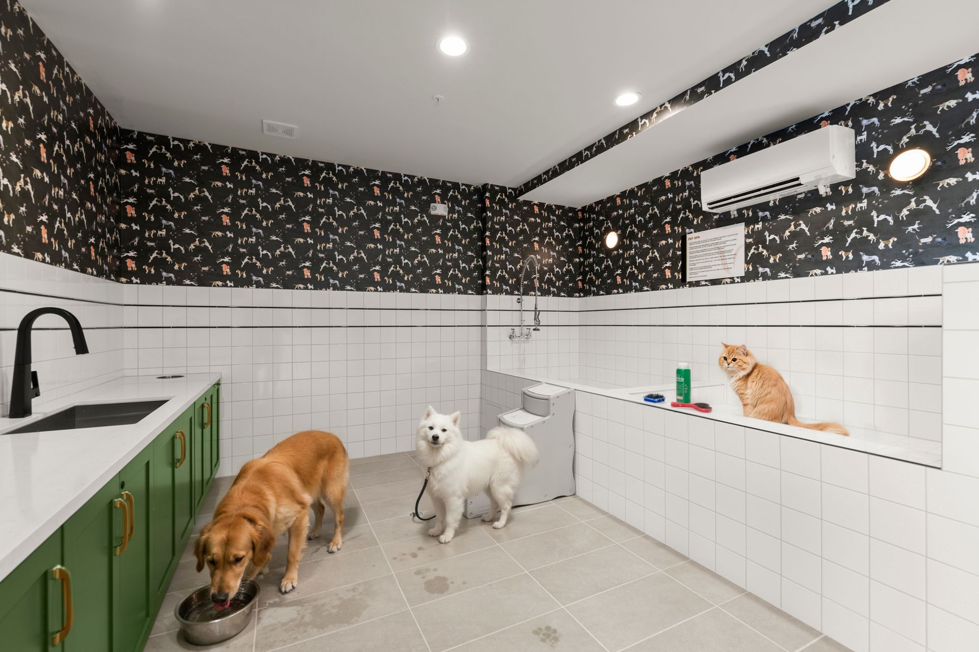 Three dogs in a modern tiled pet wash room, two drinking and one sitting by the tub. at EVOQ Marietta.
