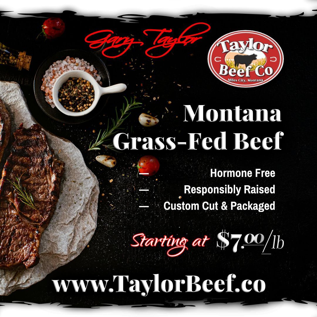 Vacuum-sealed Montana beef cuts from Taylor Beef Company stacked in a home chest freezer.
