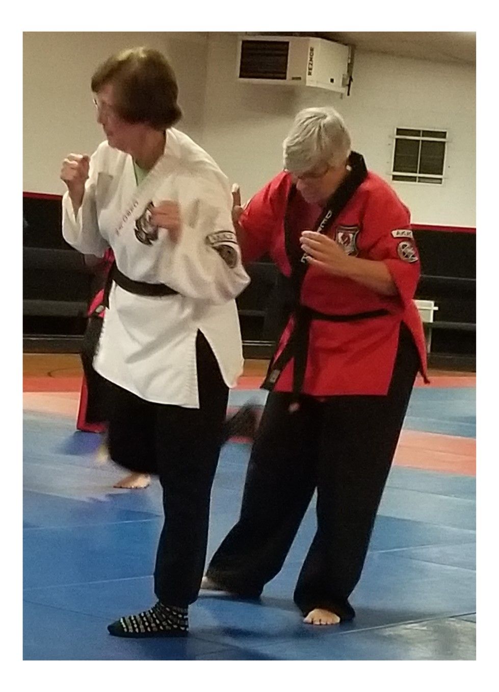 Two women are practicing martial arts in a gym.