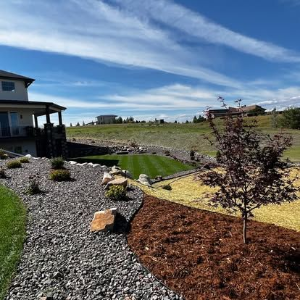 Landscaped yard with gravel path, mulch beds, young tree, and a house under a blue sky