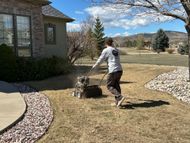Front yard with green lawn, stone steps, and a house entrance with landscaping