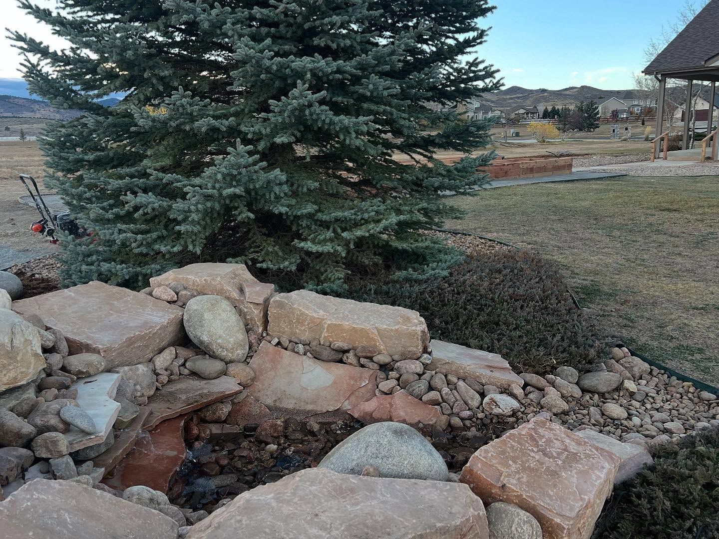 Rock garden with a small evergreen tree and large stones in a grassy yard with a house in the background