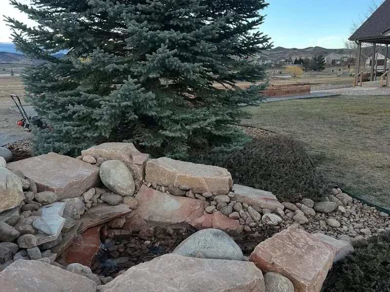 Rock garden with a small evergreen tree and large stones in a grassy yard with a house in the background