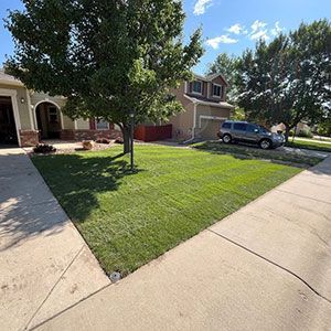 Landscaped yard with large rocks, red mulch, and a stone walkway beside a house