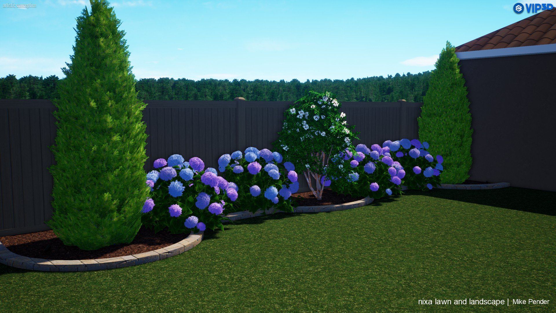 Backyard scene with green lawn, blue hydrangea bushes, and dark fence.