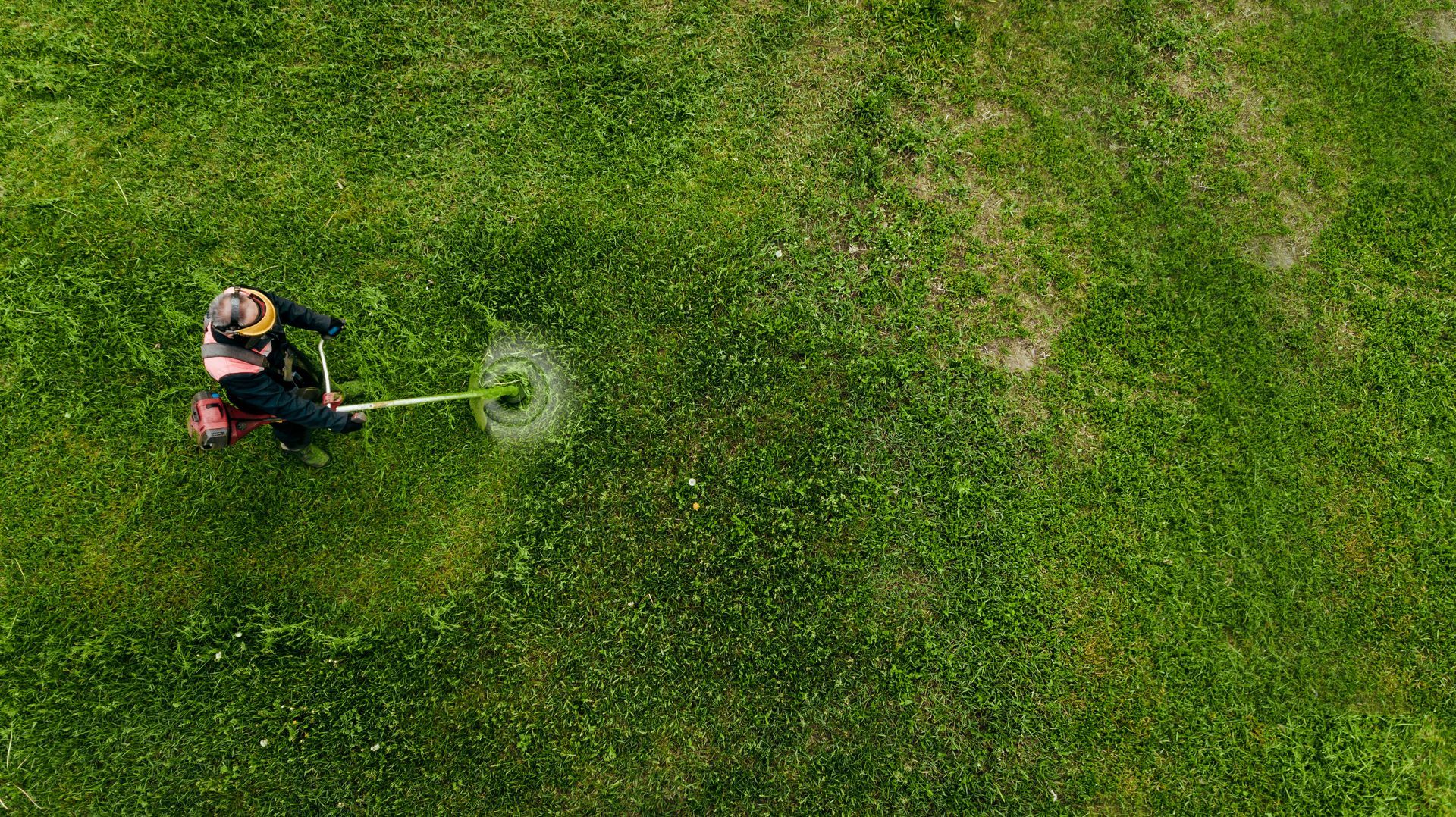 Overhead view of a worker trimming thick green grass with a string trimmer during landscape design.