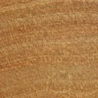 A close up of a piece of wood showing the texture of the wood.