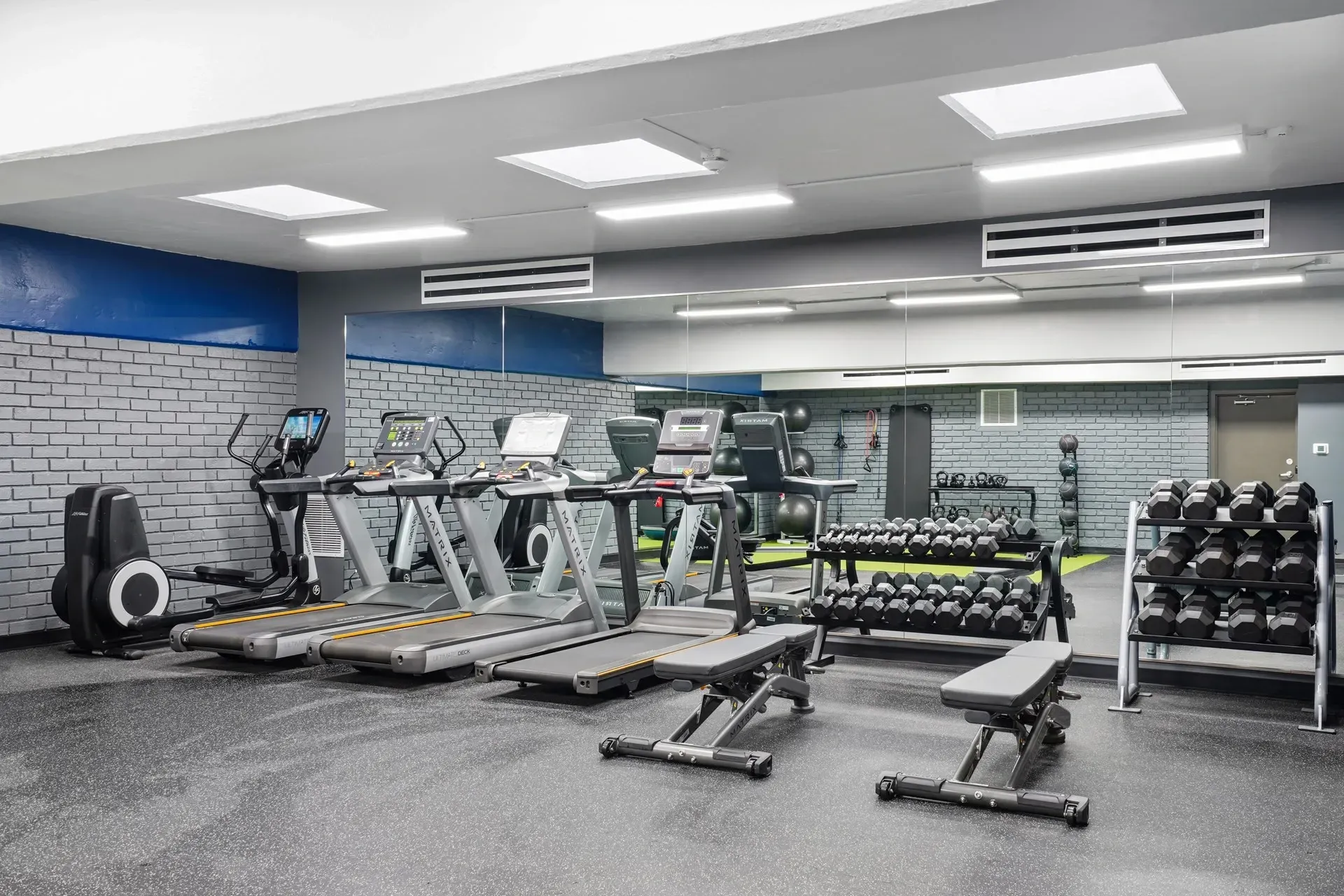 Treadmills, ellipticals, free weights, and benches in a modern apartment gym.