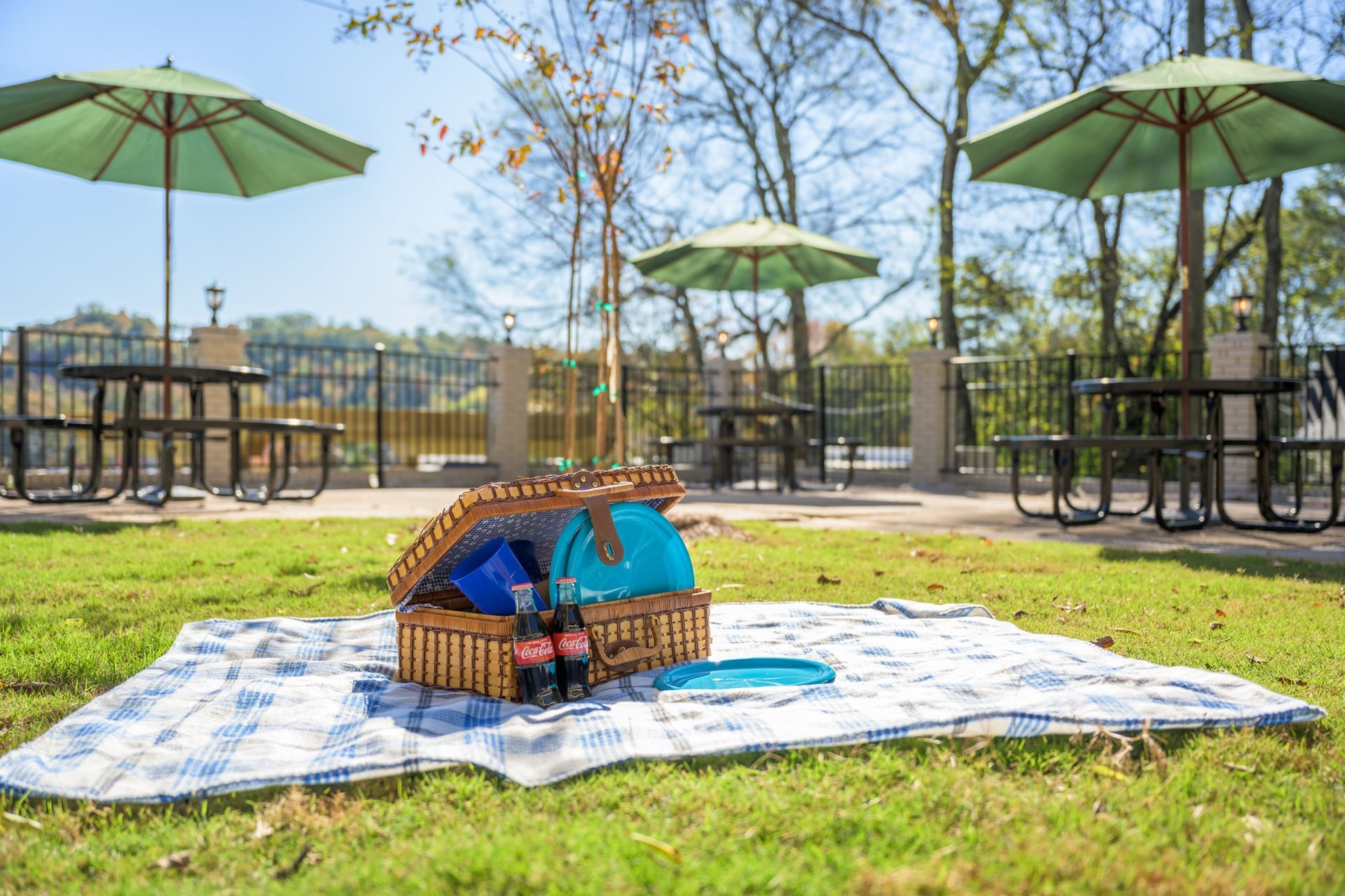 A picnic basket with blue dishes and two soda bottles sits on a checkered blanket on a lawn near outdoor patio tables.