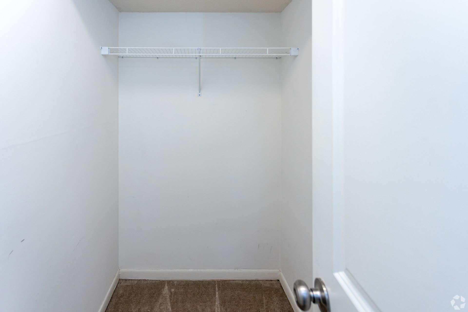 An empty walk-in closet with white walls, beige carpeted floor, and a single wire shelf for hanging clothes.
