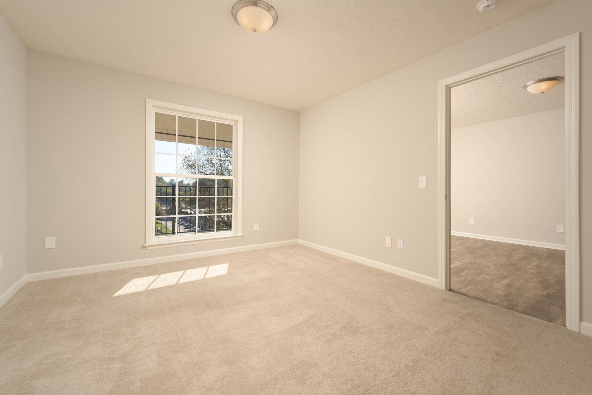 Empty bedroom with beige carpeting, light gray walls, a window overlooking trees, and a doorway to another carpeted room.