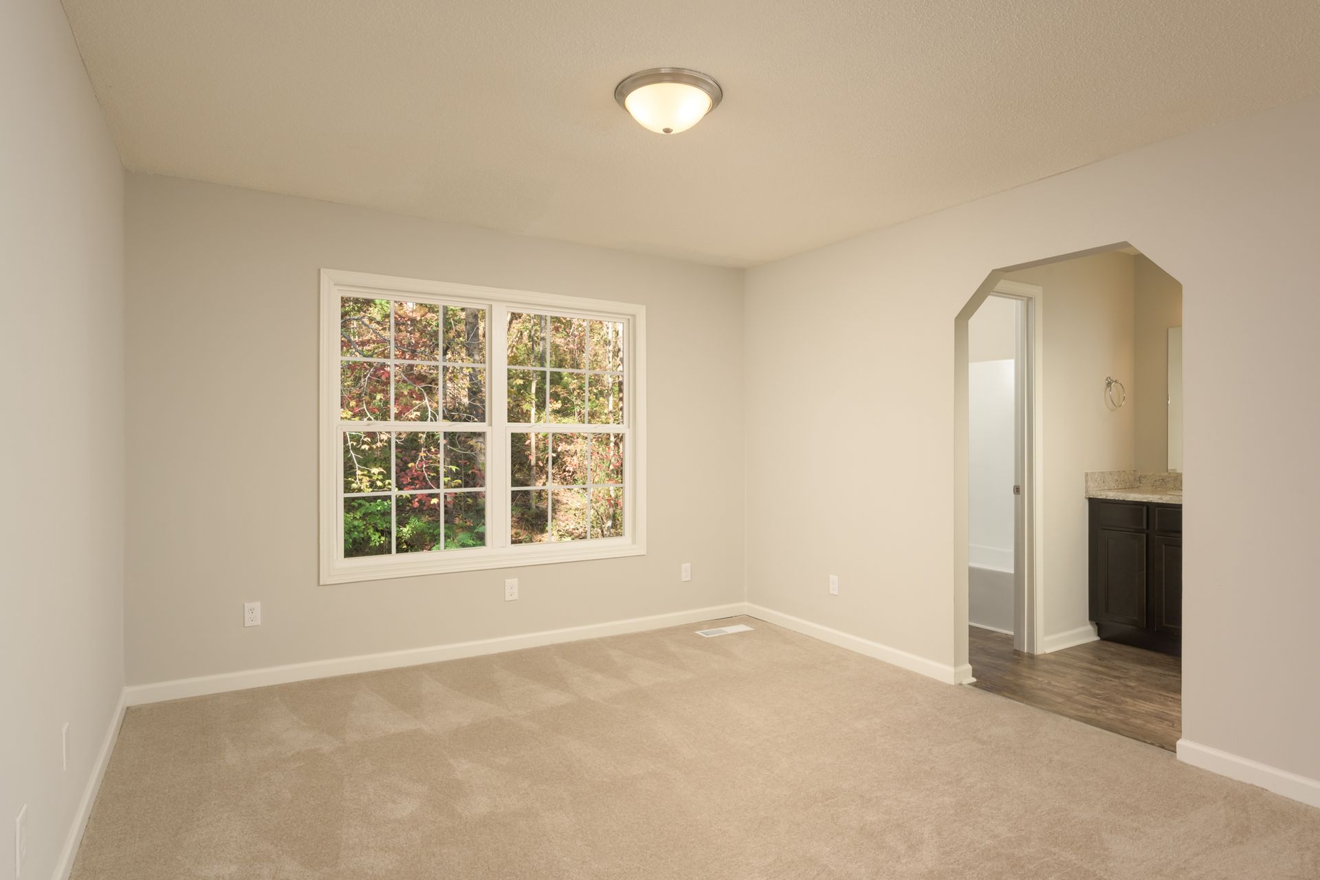 An empty room with light gray walls, beige carpeting, a large multi-pane window, and an arched doorway to a bathroom.