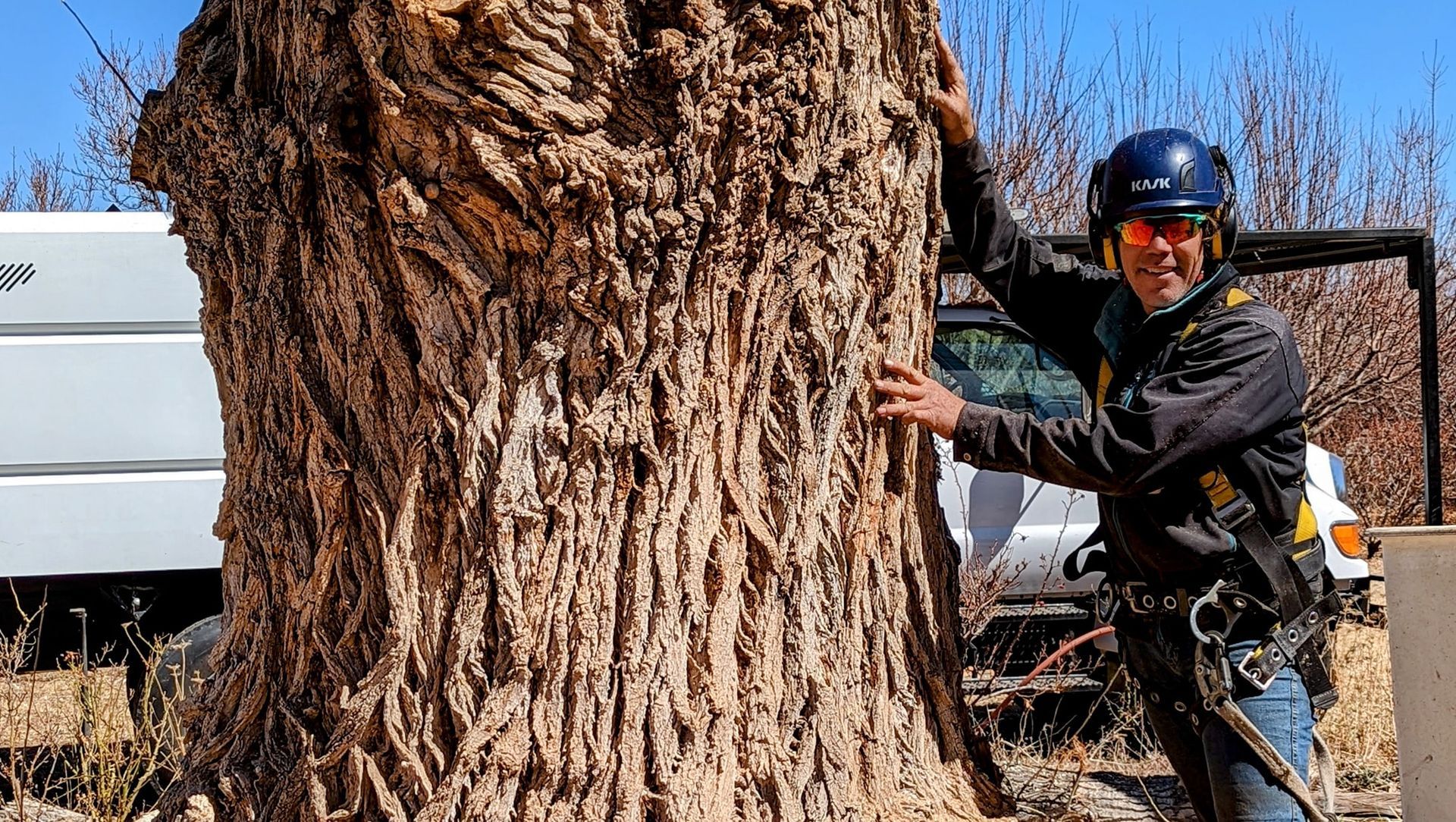 A man is standing next to a large tree trunk.