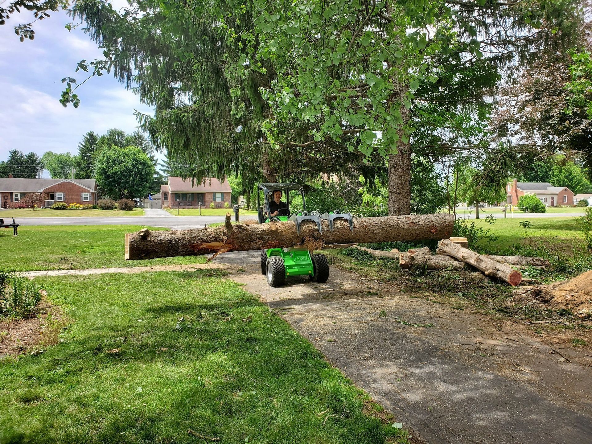 A person is cutting a tree with a forklift in a yard.