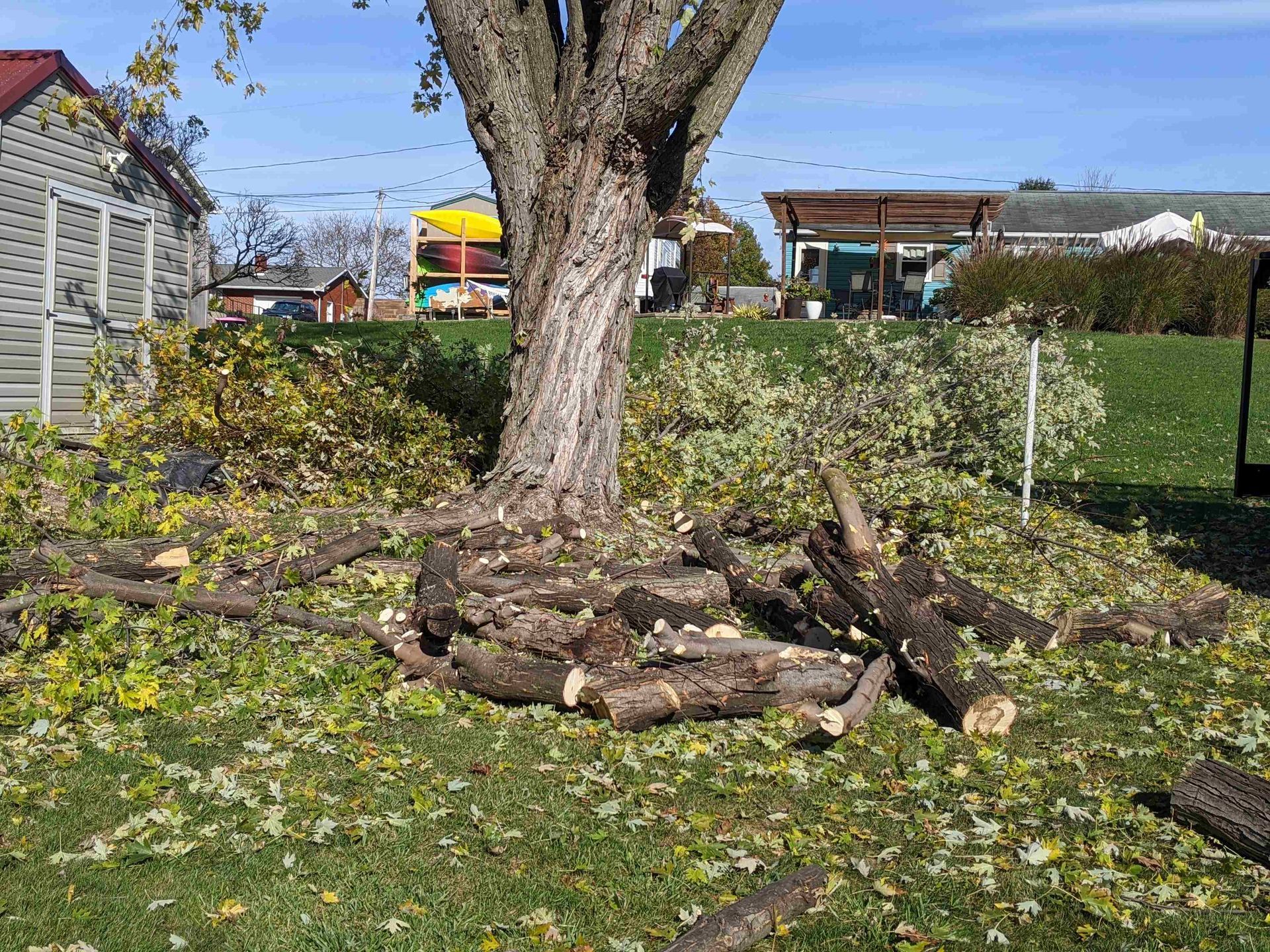 A pile of logs is sitting under a tree in a yard.