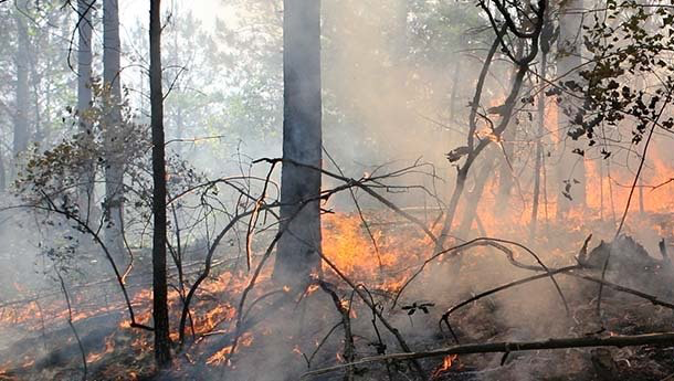 Burn Permits