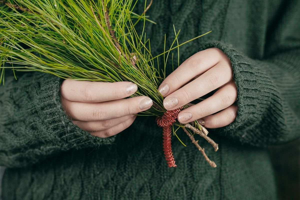 cedar tree allergy