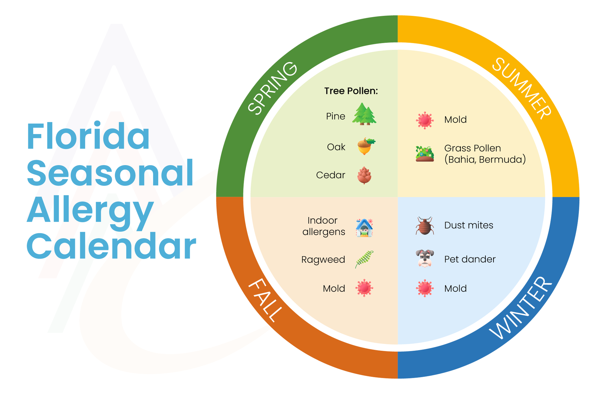 Florida seasonal allergy calendar showing dominant allergens by season in Tampa Bay.