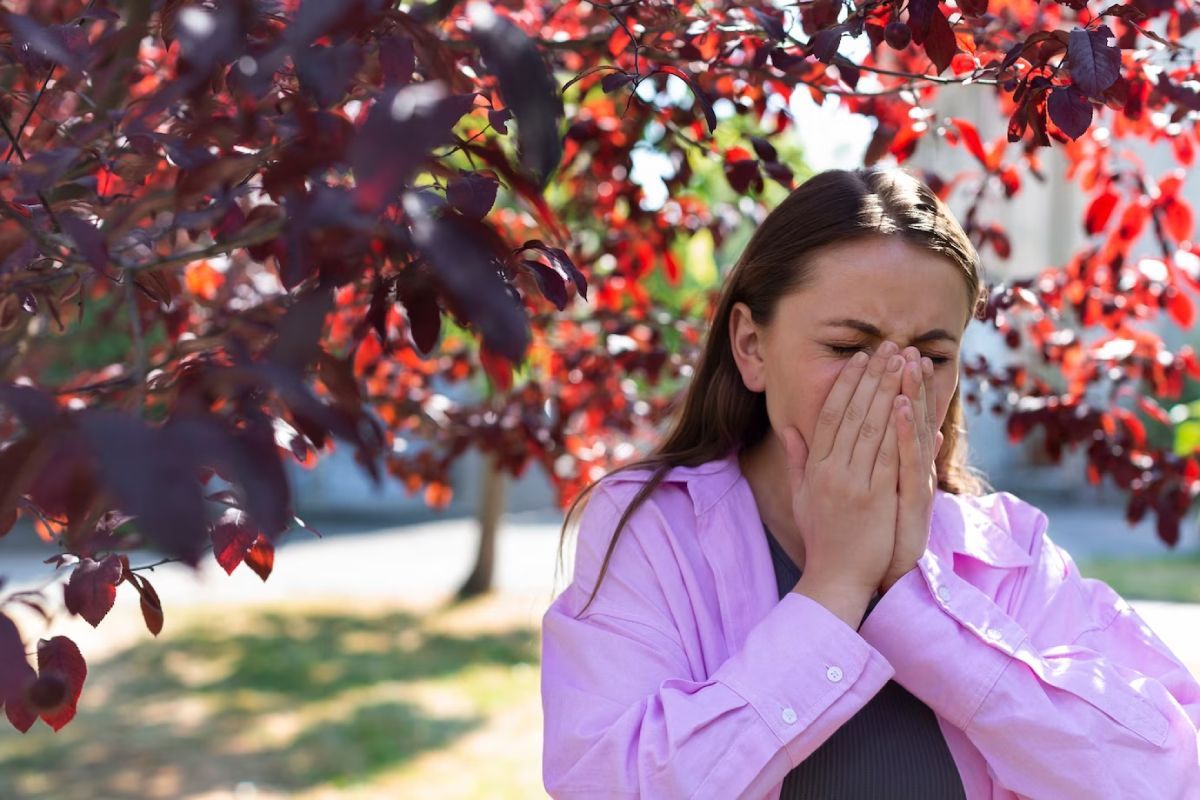 pollen allergies
