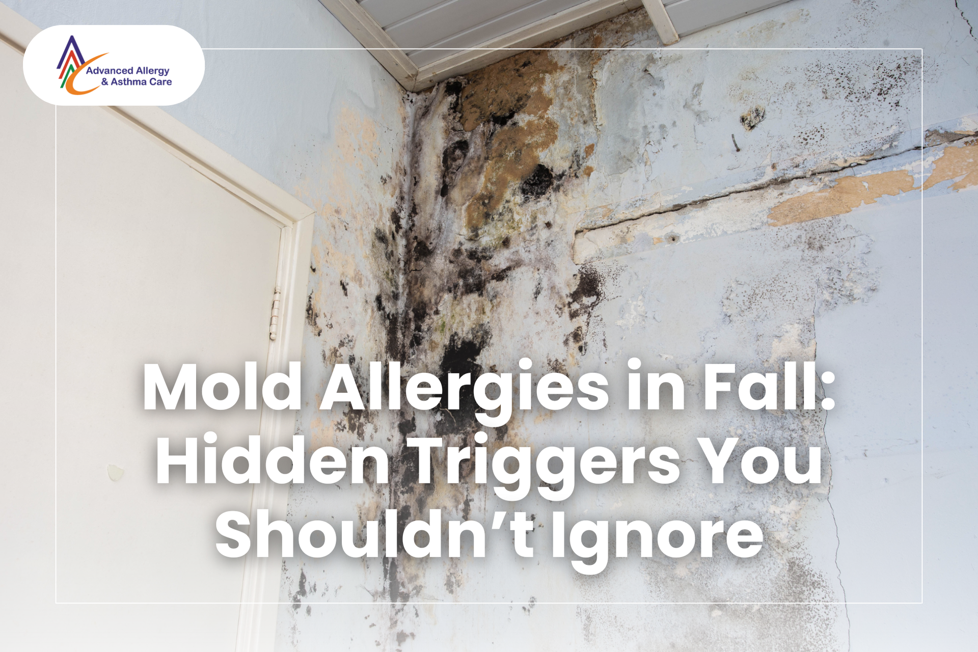 Hidden mold allergy triggers on a damp, cracked indoor wall showing severe black mold growth near a door frame.