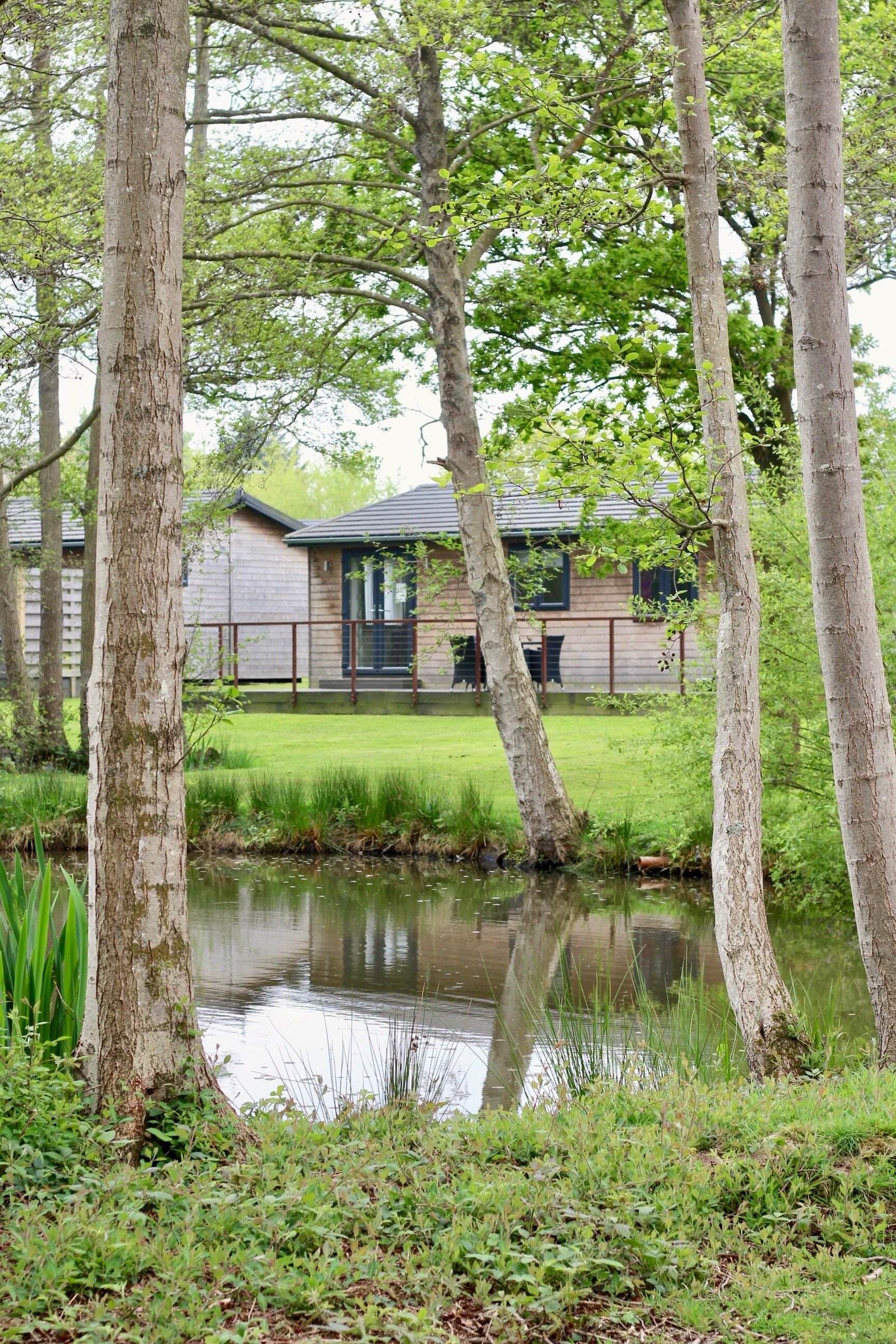 lakeside holiday lodge in country park East Sussex