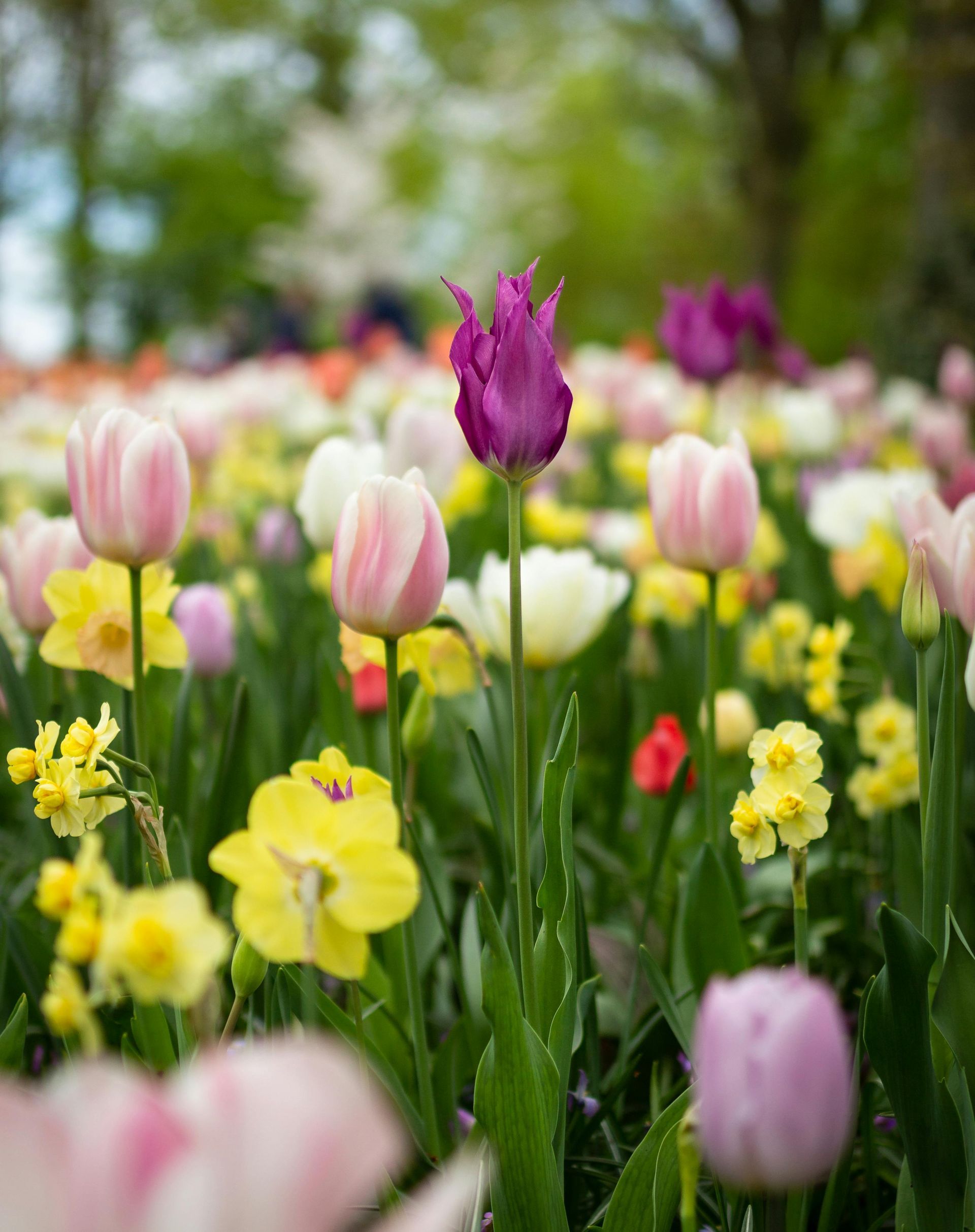 Spring holidays