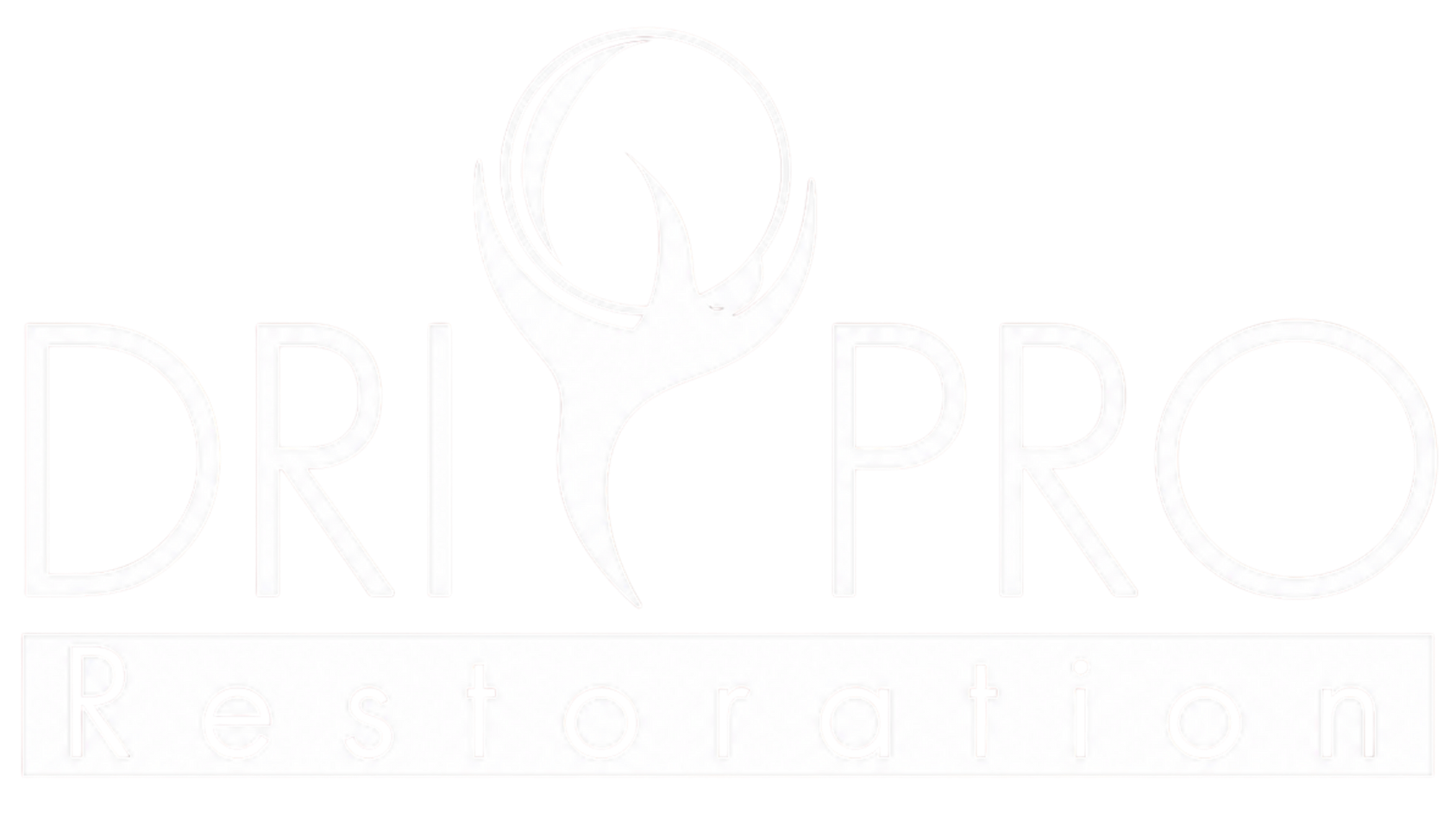 Dri Pro Restoration Logo