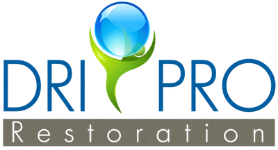 DRI PRO Restoration logo in blue, green, and gray with a droplet icon above the text