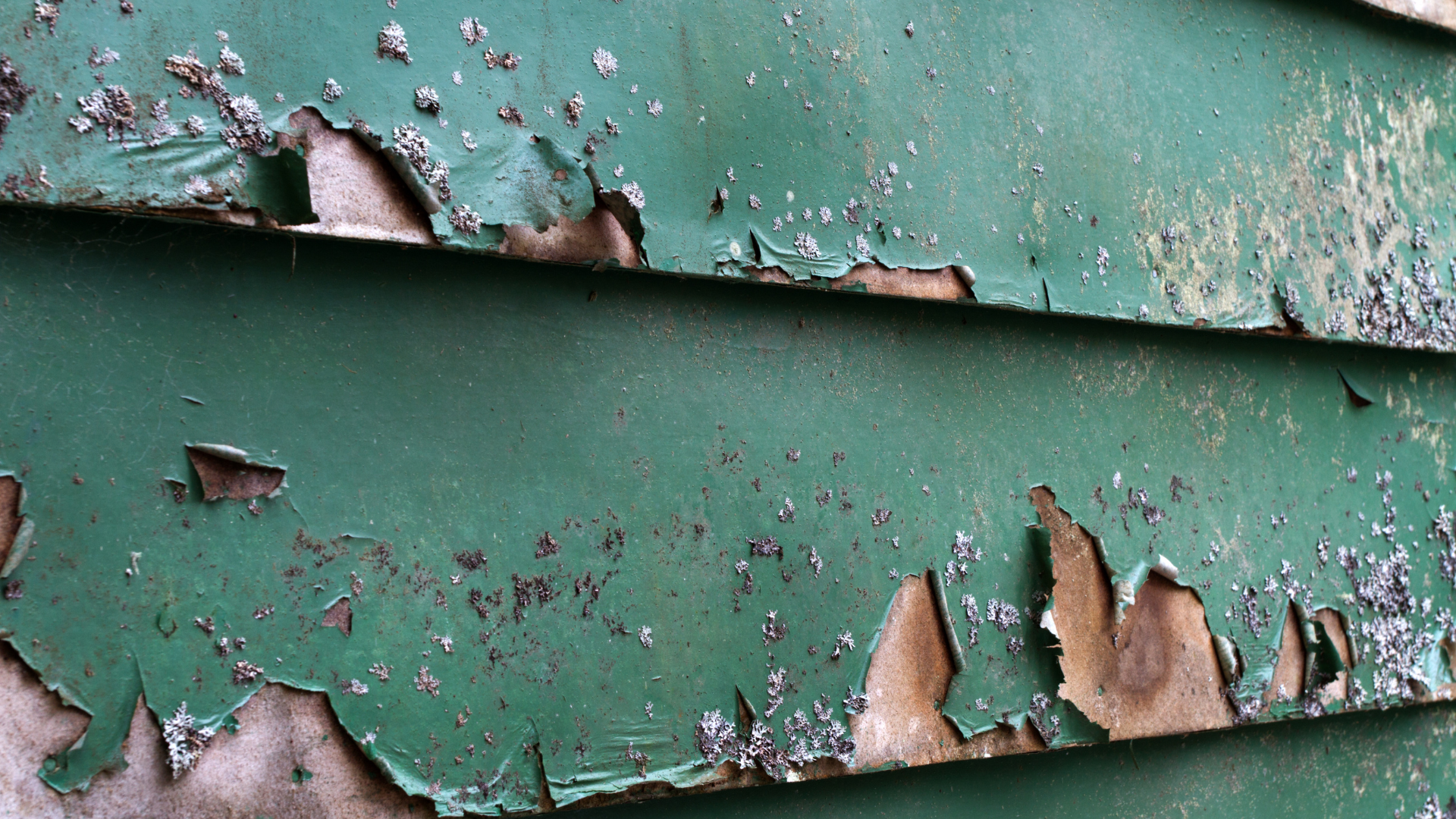 exterior paint