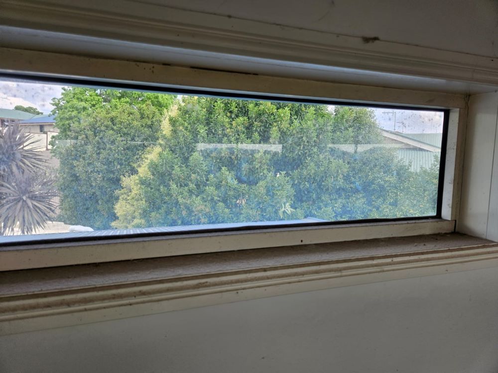 A Large Window With a View of Trees in a Room — O & D House Wash & Cleaning Services in Glenvale, QLD
