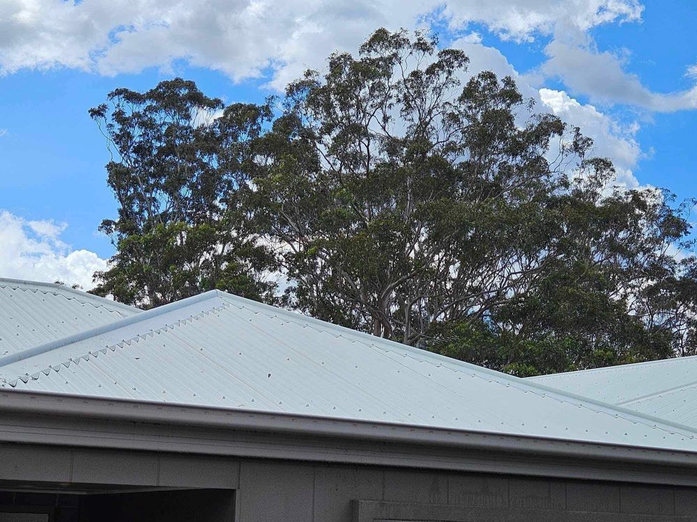 A House With a White Roof and a Tree in the Background — O & D House Wash & Cleaning Services in Cambooya, QLD