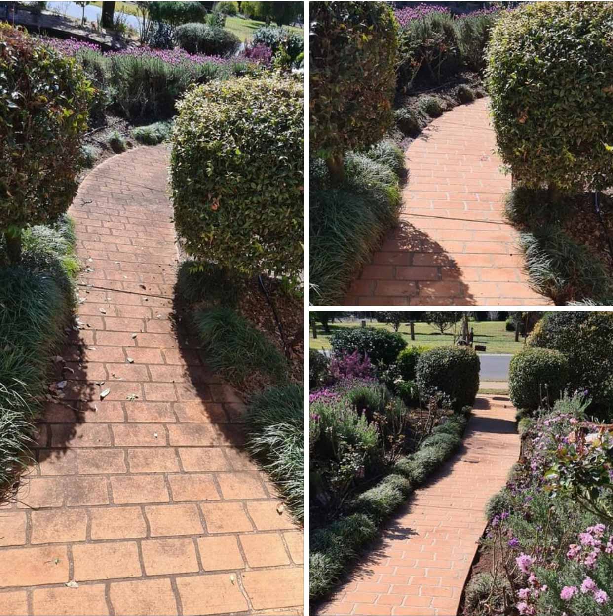 Before and After Outside Flooring in a Garden — O & D House Wash & Cleaning Services in Glenvale, QLD