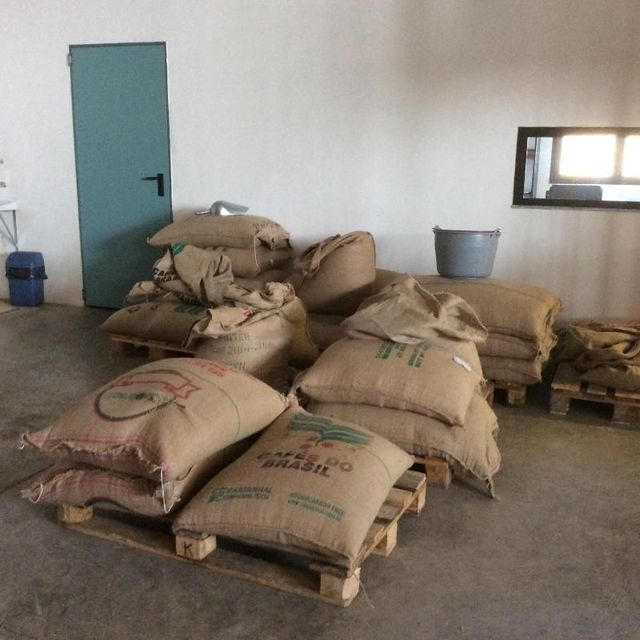 Sacchi di iuta contenenti chicchi di caffè impilati su pallet di legno in un magazzino con una parete bianca, una porta verde e un contenitore grigio.
