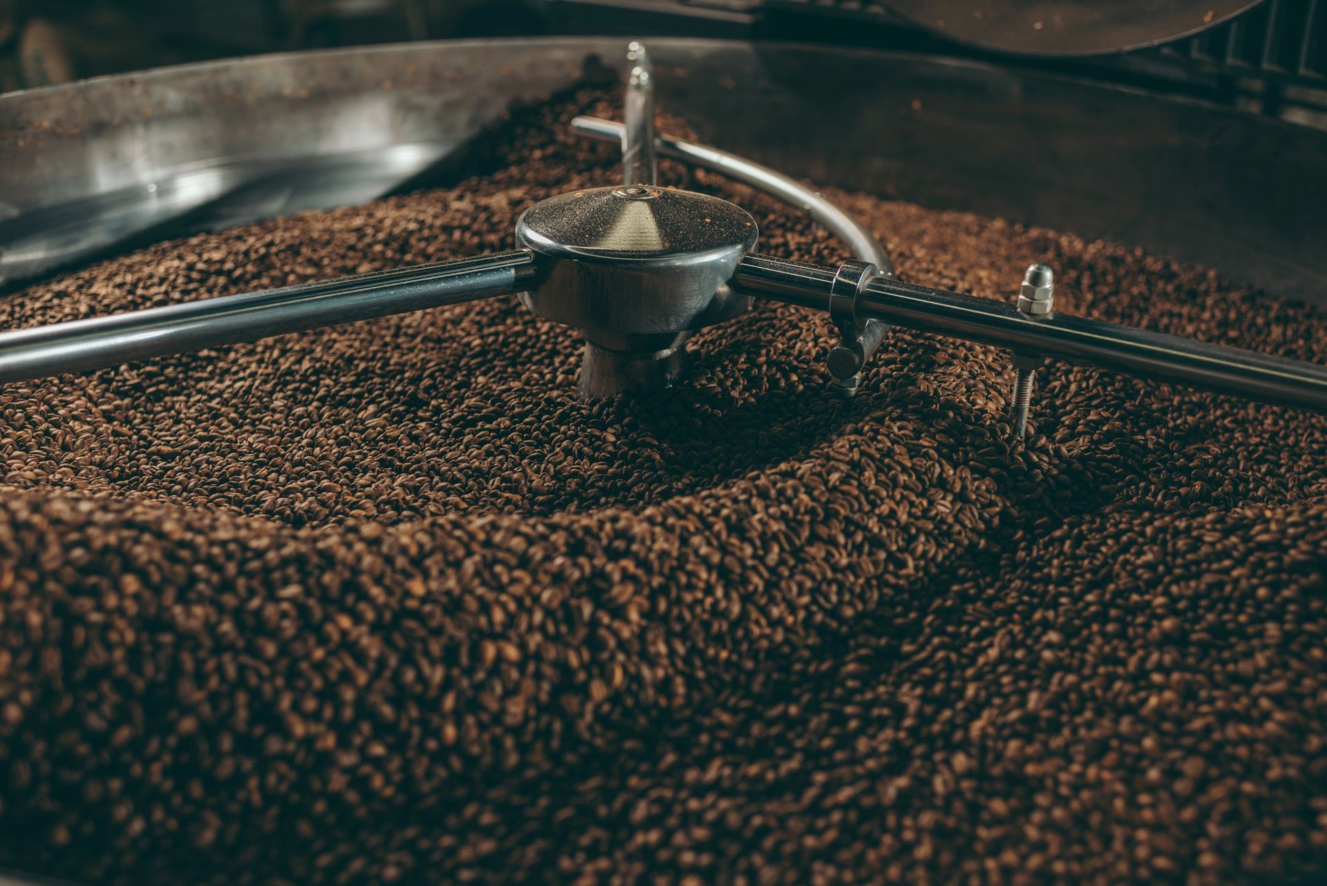 Un agitatore meccanico mescola un ampio letto di chicchi di caffè marrone scuro all'interno di un vassoio di raffreddamento circolare in metallo.
