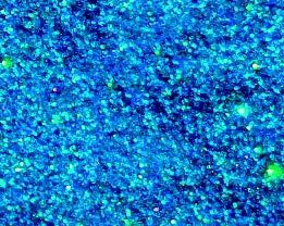 Flake Epoxy Flooring - Color = Outback