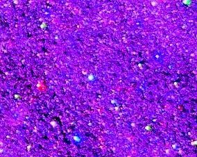 Flake Epoxy Flooring - Color = Shoreline