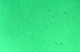 Flake Epoxy Flooring - Color = Shoreline