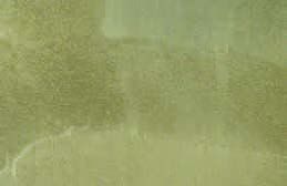 Blurred greenish scene with a pale horizon and indistinct landscape.
