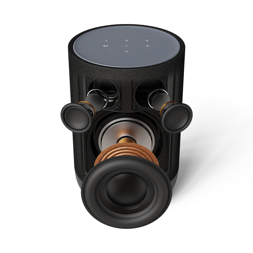 Denon Home 200