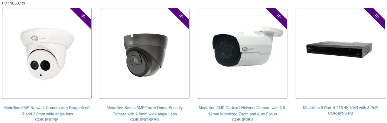 Surveillance CCTV Hybrid
