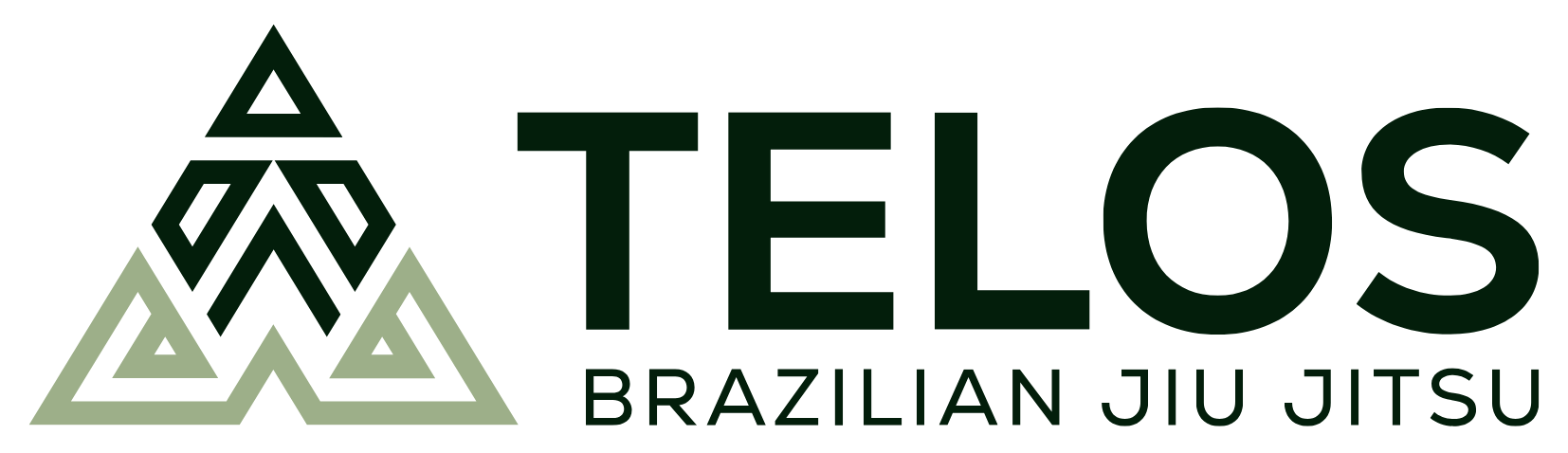 Telos Brazilian Jiu Jitsu's Logo