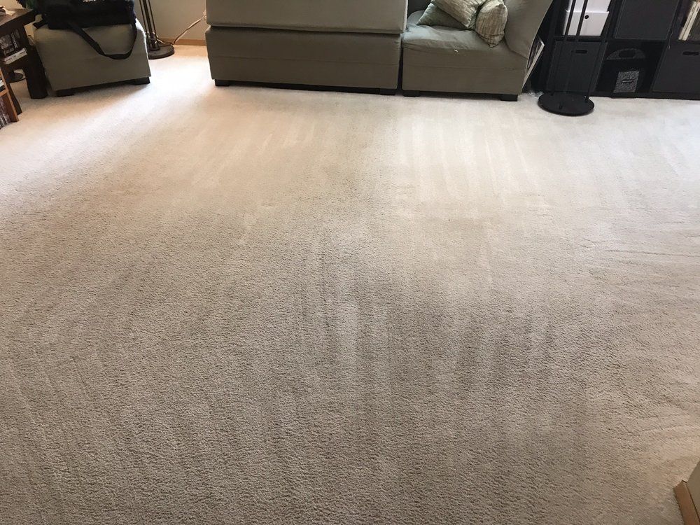 Beige carpeted living room with a sofa and TV stand in the background