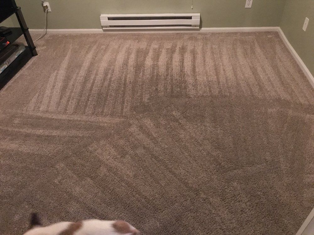 Empty carpeted room with a wall vent and a cat partially visible at the bottom edge