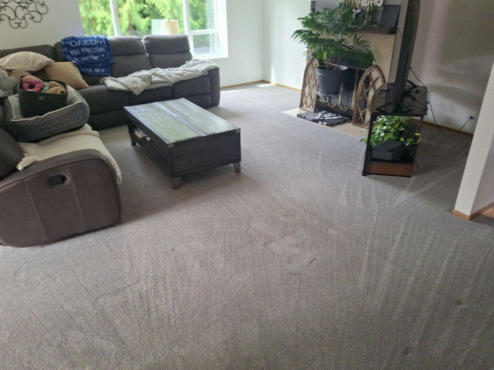 Bright living room with gray carpet, sectional sofa, coffee table, and large window with plants.