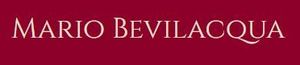 logo mario bevilacqua venezia