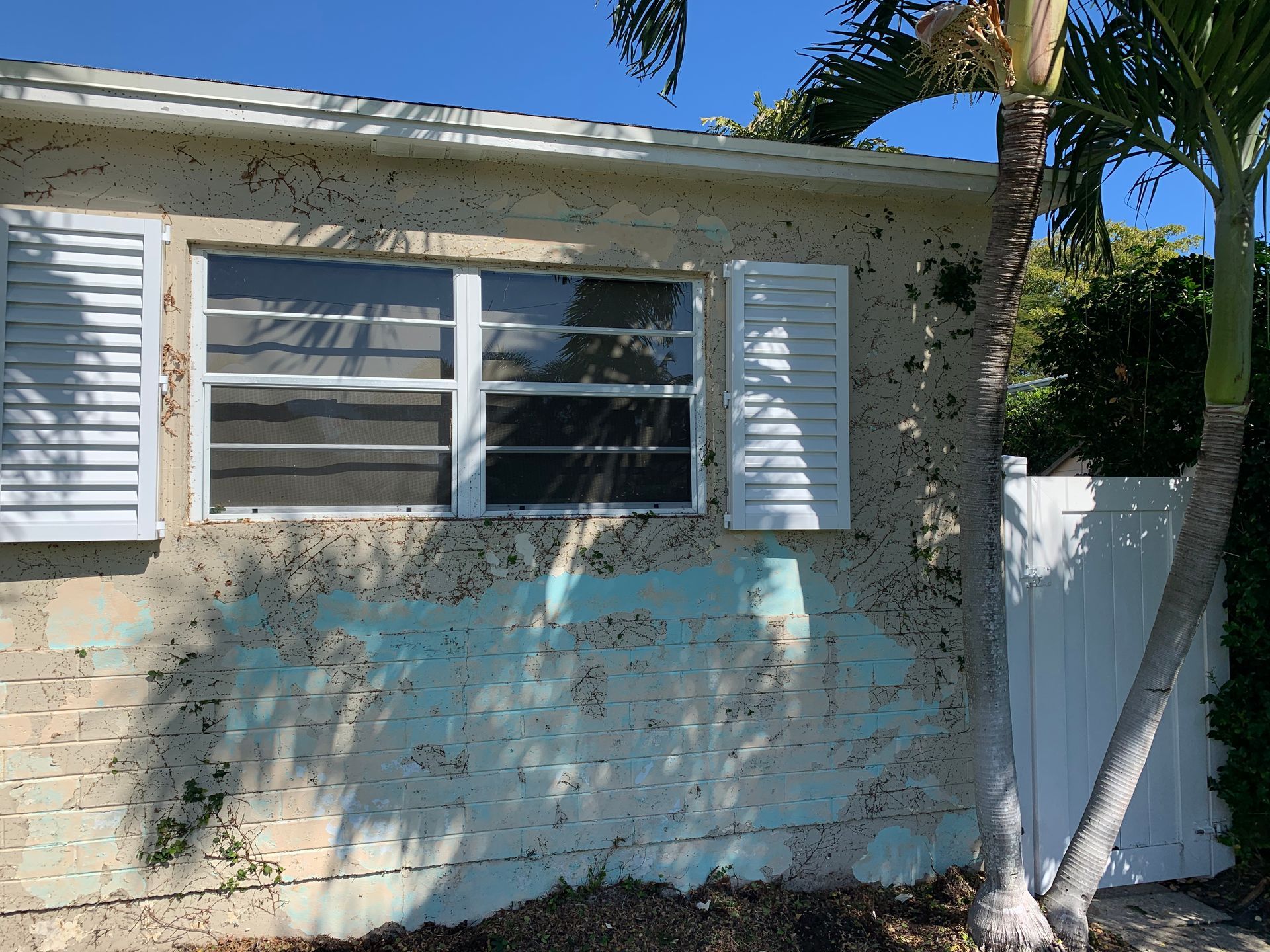 Weathered stucco house wall with a white-framed window, shutters, and palm trees in bright sunlight