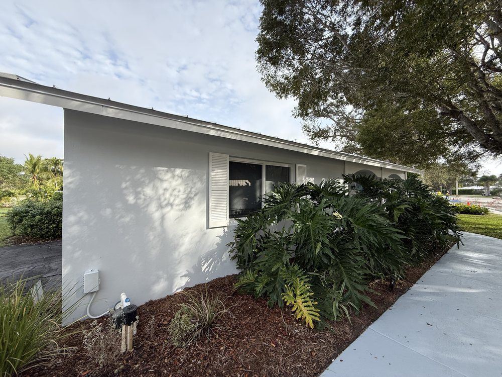 Modern white house exterior with dark window and lush tropical plants along a concrete walkway